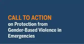 Call to Action on Protection from Gender-Based Violence in Emergencies